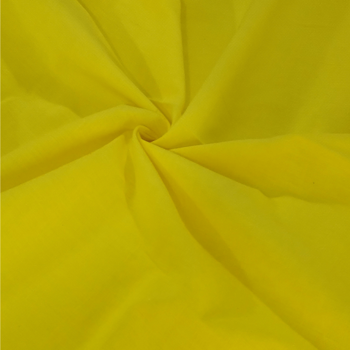 Yellow Solid Color