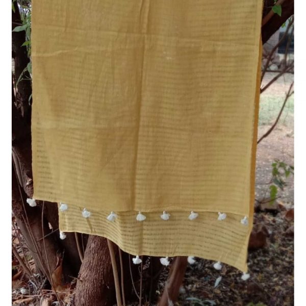 Yellow Jali with some white beauties