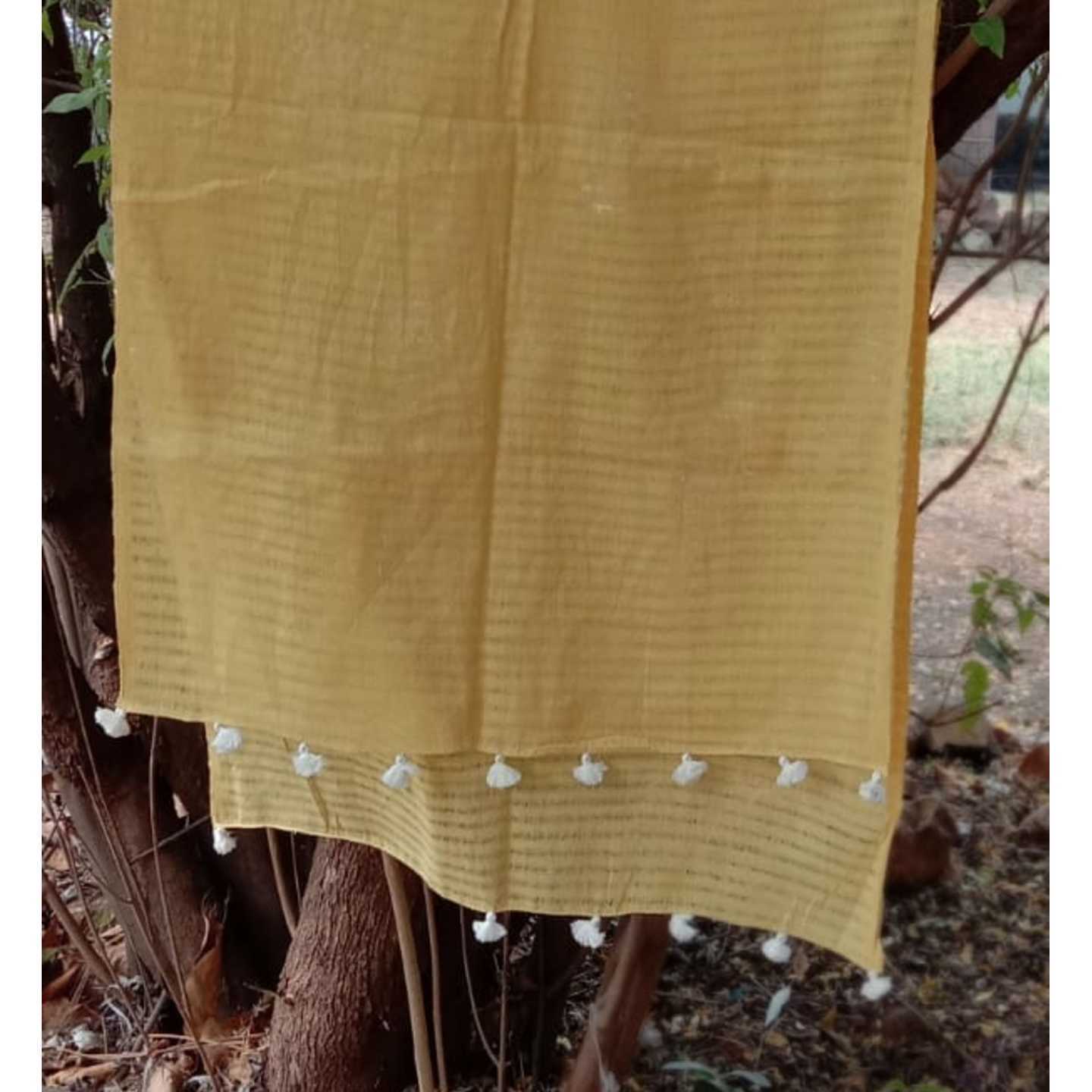 Yellow Jali with some white beauties
